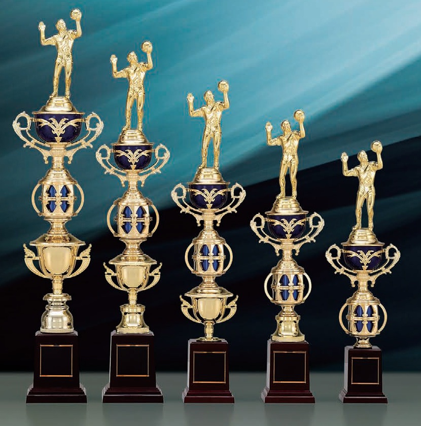 オリジナルトロフィー 2色展開 ブルー レッド 表彰用 スポーツ大会 社内イベント 名入れ対応